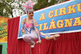 Cirkuszparádé a Városligetben