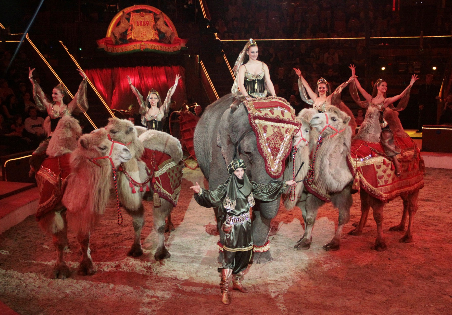 A szünetben is sztárok a porondon!!!