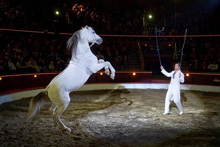 Műsorfüzet-dedikálás!