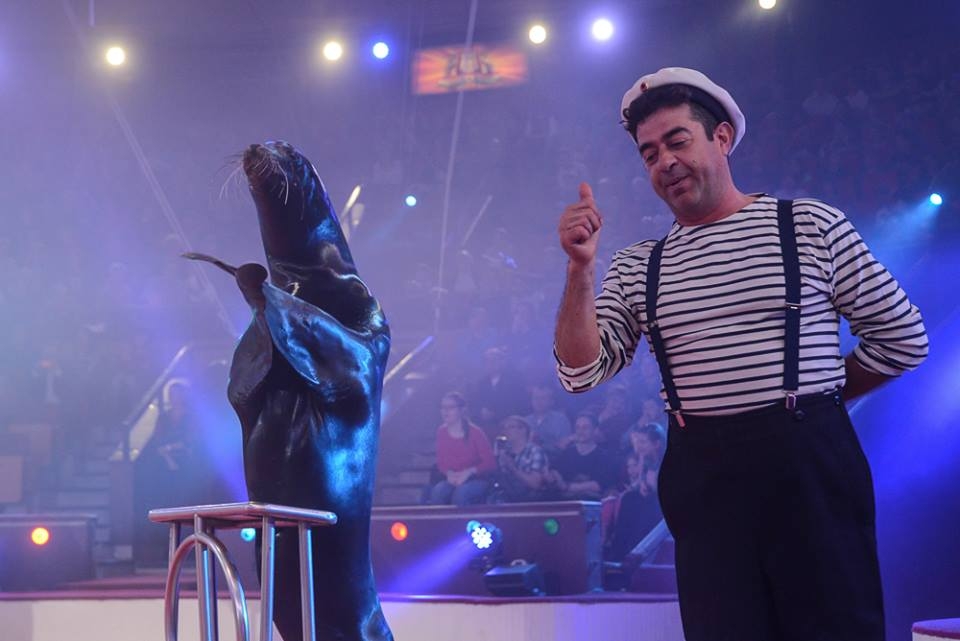 Kitiltják az állatokat a cirkuszból?