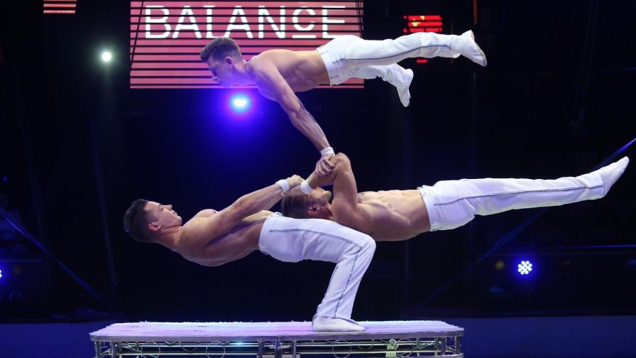 Kis macska, nagy macska