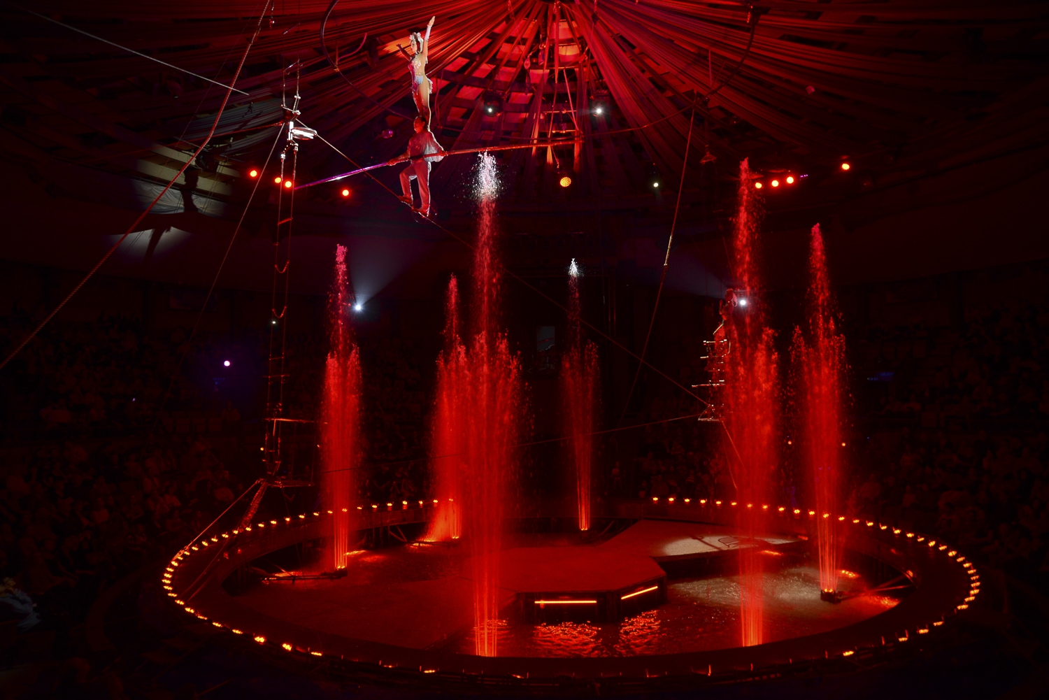 Haláli siker! Jól vizsgázott a nagypapa a cirkuszban!