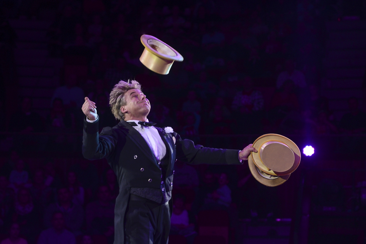 Szereplőválogatás: Lúdas Matyi a cirkuszban