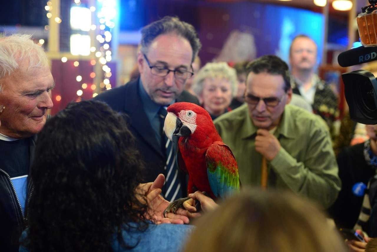 Illúzió - sötétben