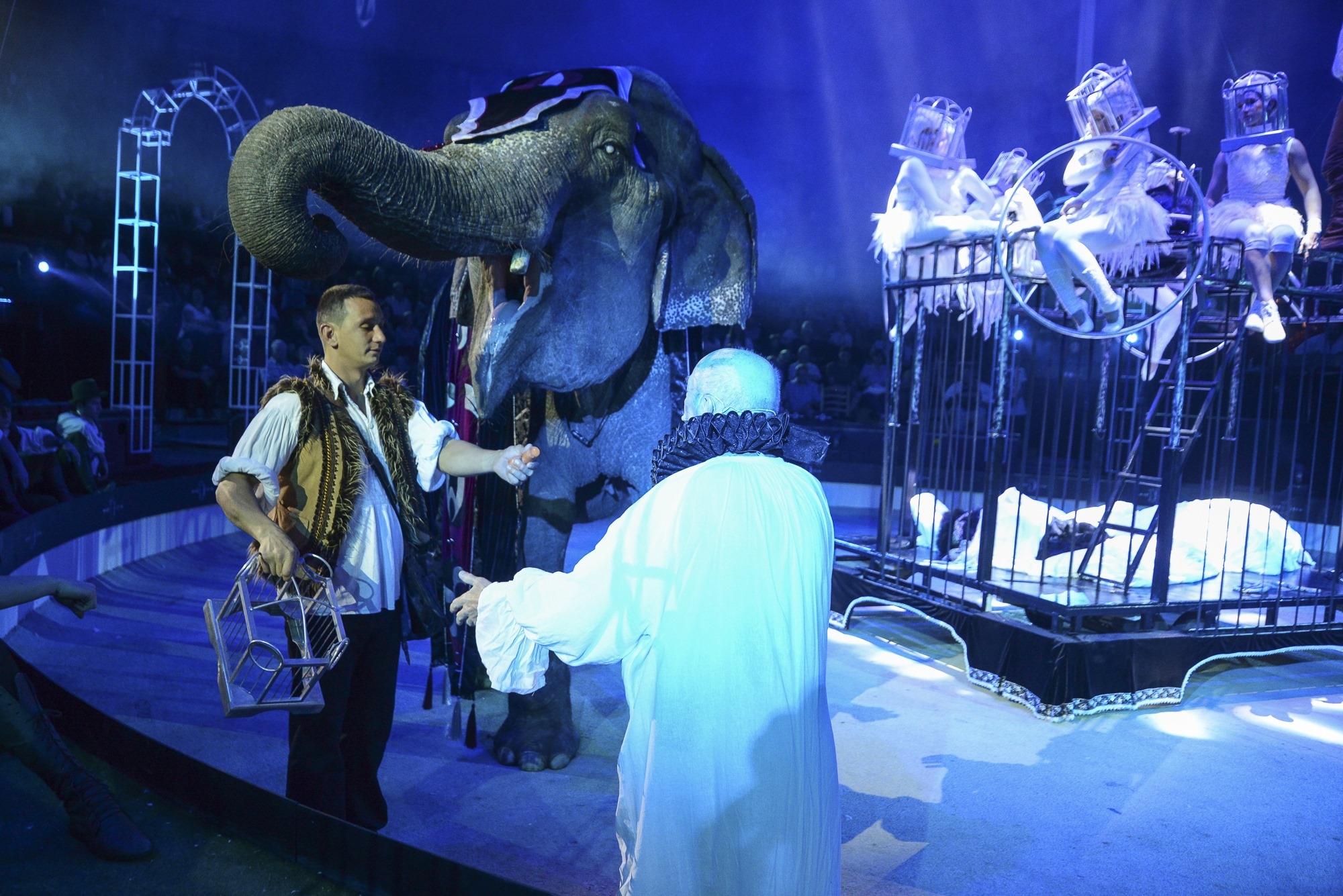 Ötletelés közben szembejött az elefánt