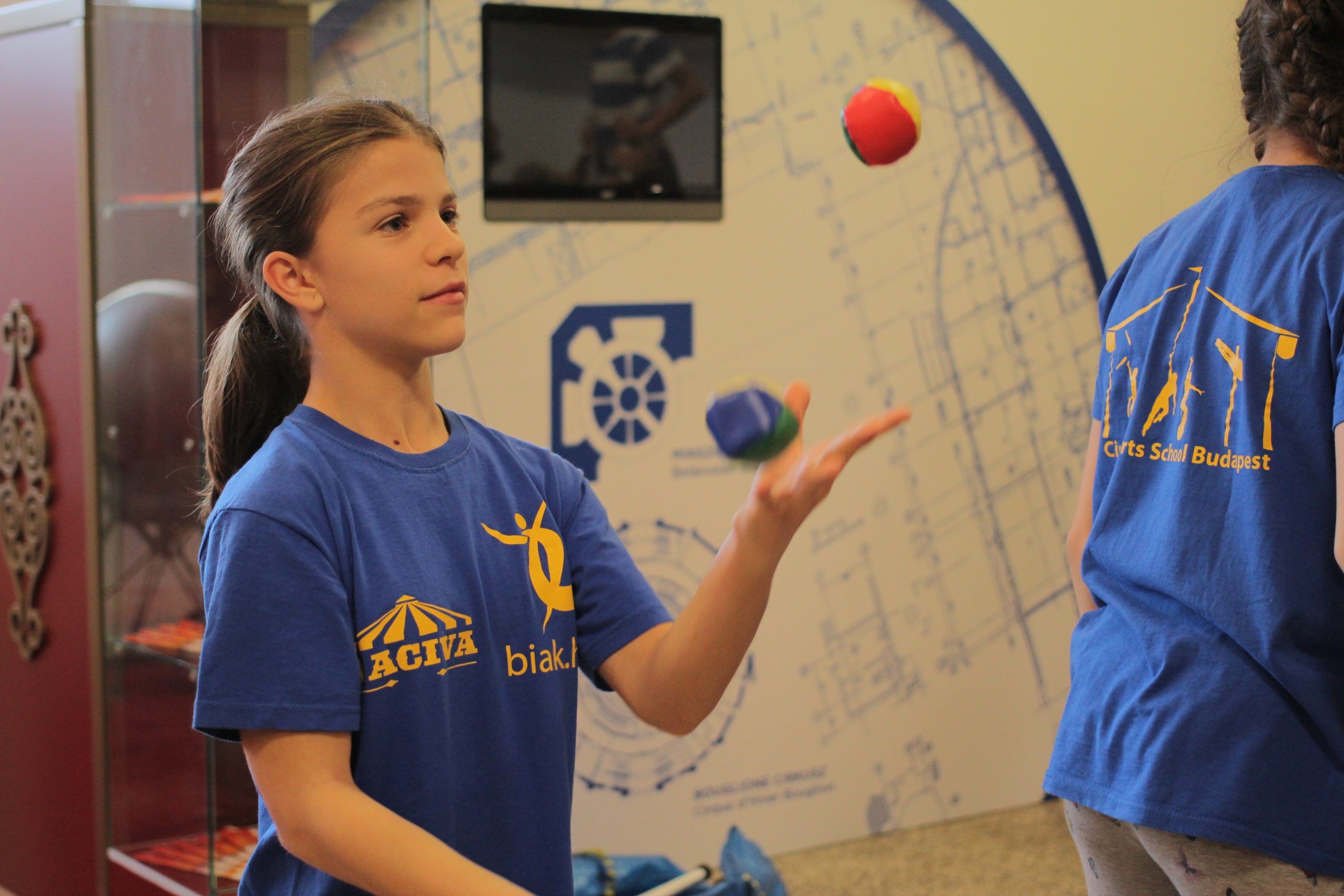 Nyílt nap a Fővárosi Nagycirkuszban