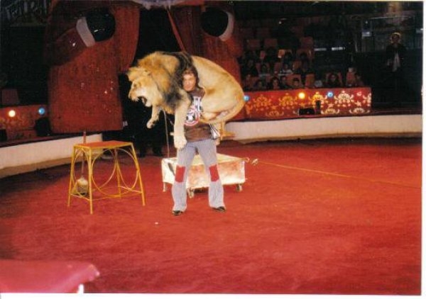 Soha nem csalódtam az állatokban