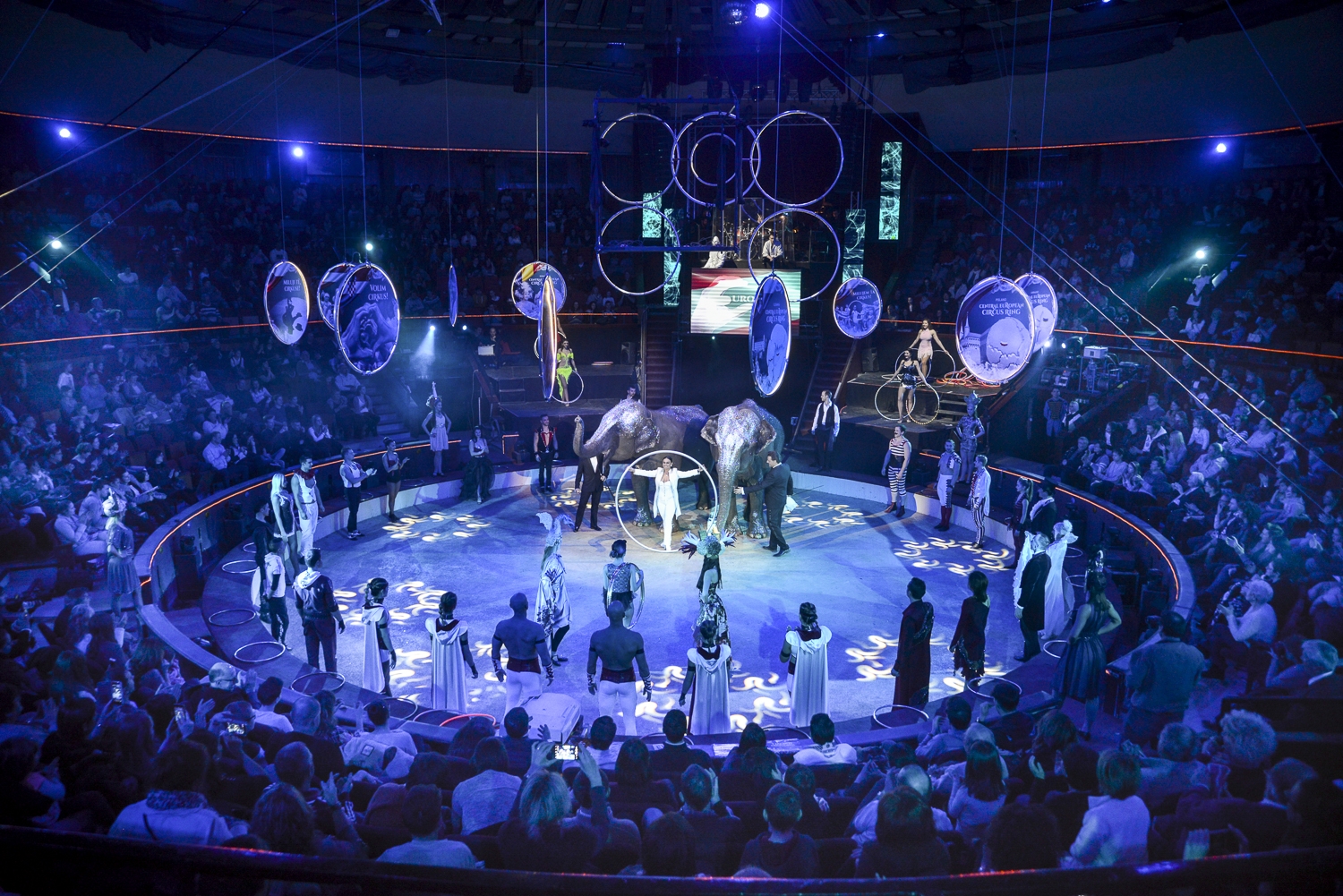 Újabb elsöprő siker a porondon