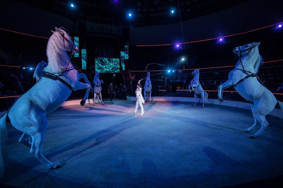 Közép-Európa a cirkuszban