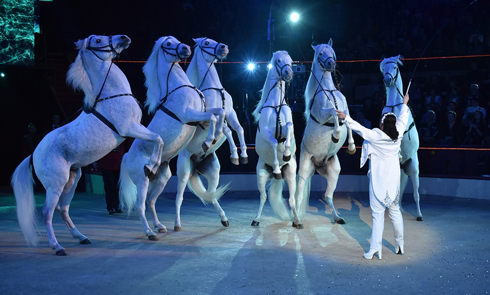 Jót szomszédoltunk!