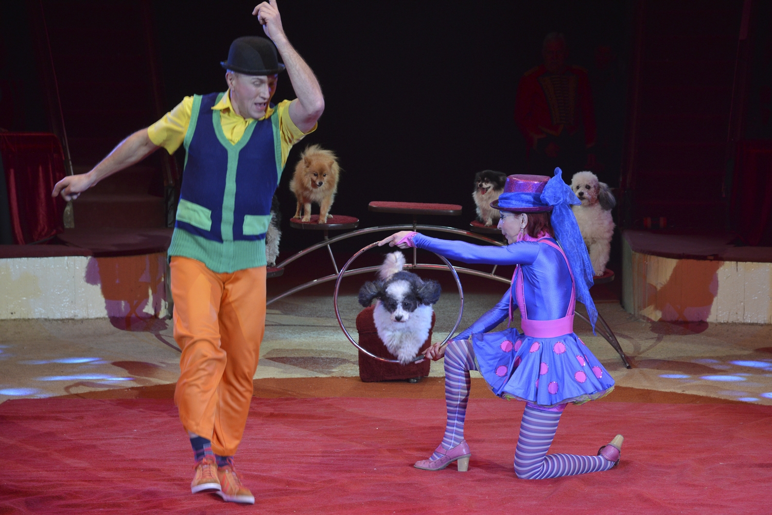 A Fővárosi Nagycirkusz állatos produkciói