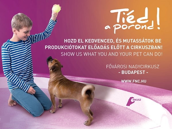 Tiéd a porond a Cirkuszi világnapon!