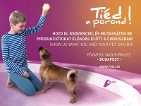 Tiéd a porond a Cirkuszi világnapon!