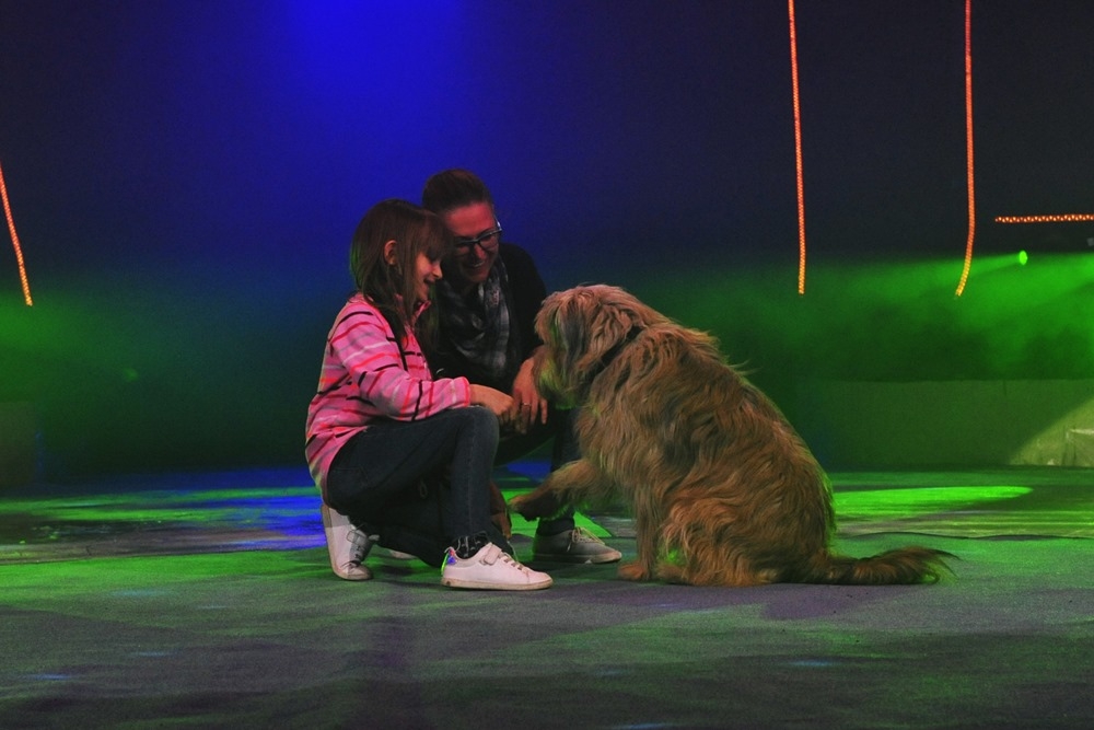 Cirkuszi világnap - A családokat várták kedvenceikkel