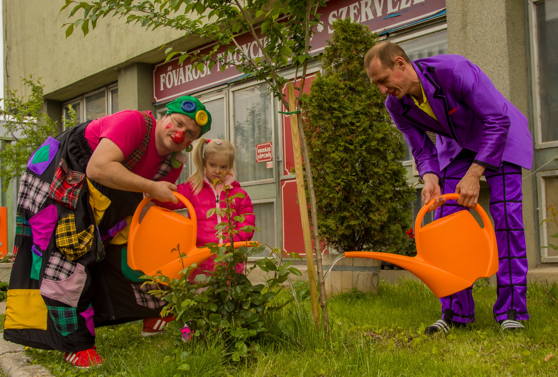 Virulnak a cirkusz fái