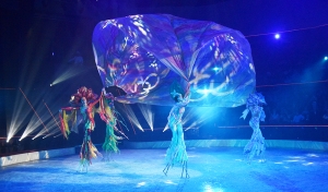 Kész cirkusz!   Hokimecs: négy évszakban