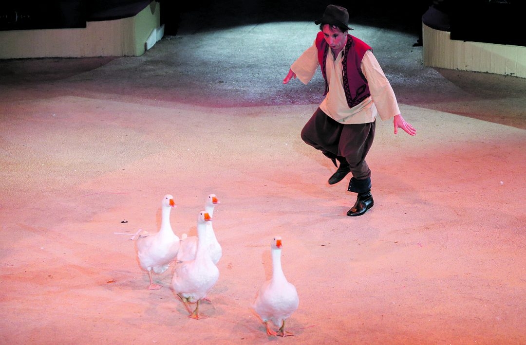 Pantomimművész nyerte a nagydíjat