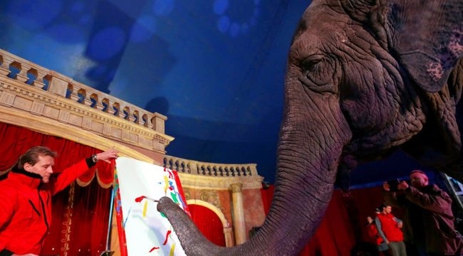 Szandra, az elefánt az állatvilág Picassója