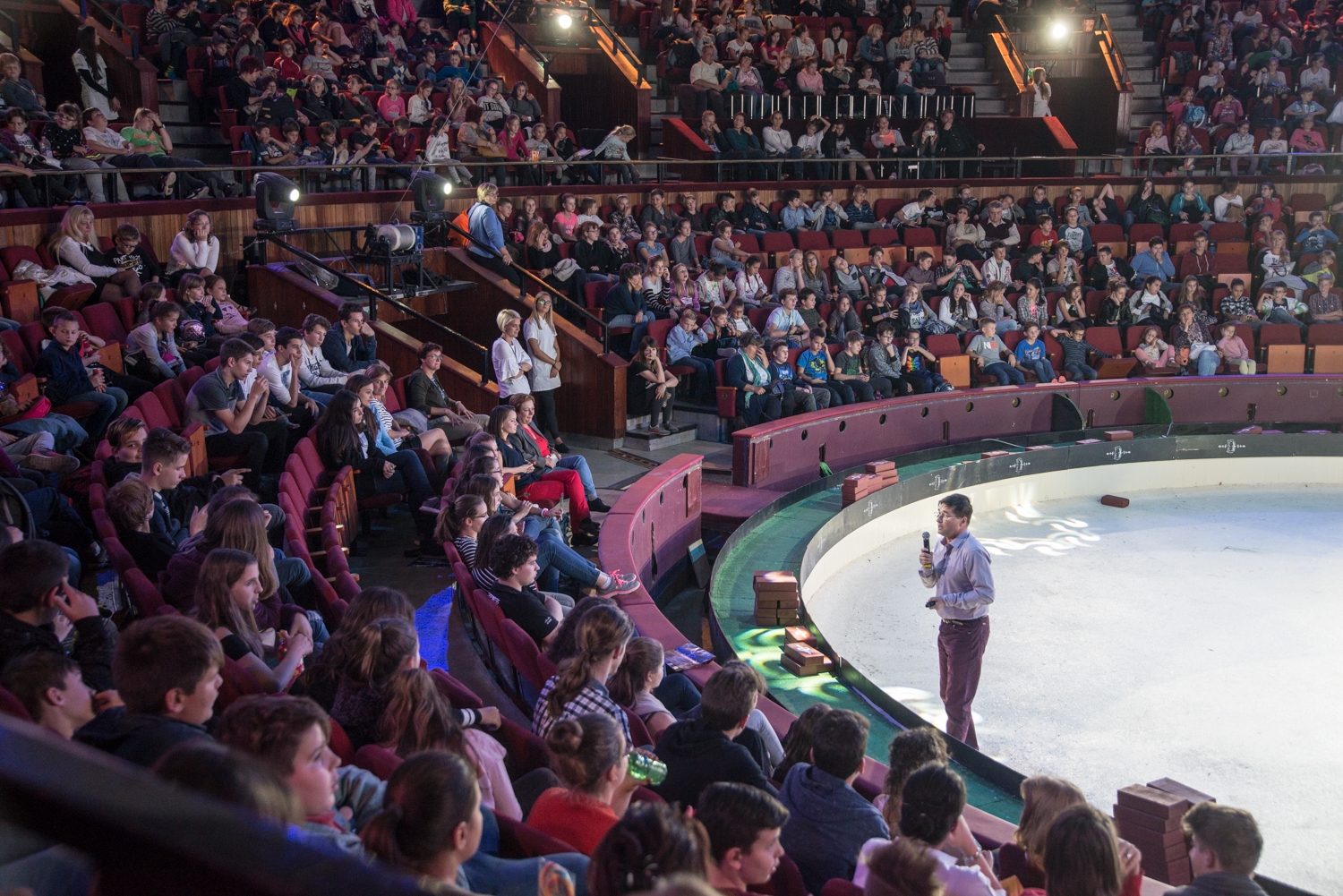 Matekóra a cirkuszban