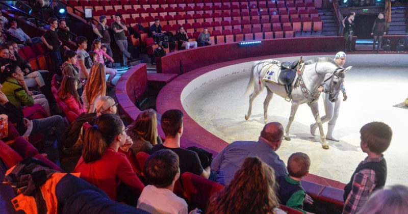 Jónak lenni jó, tanúsítják a lovaskultúra oktatók