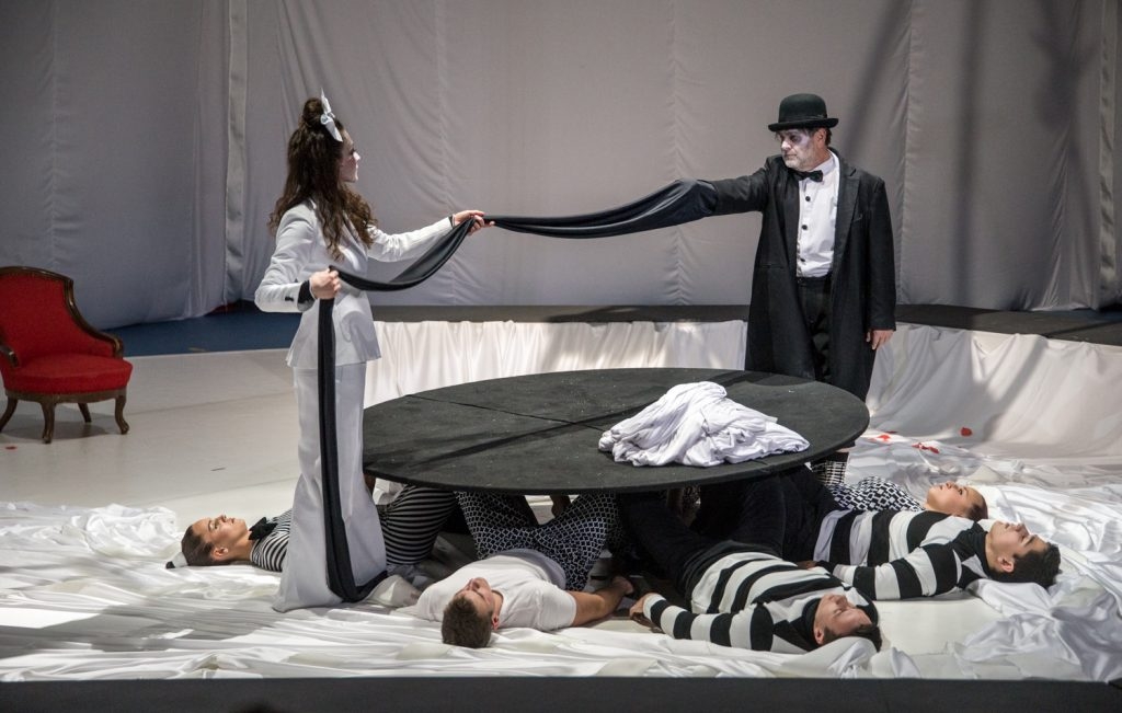 Darida Veronika: Törékeny zuhanások