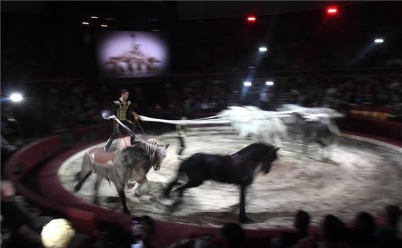 Megkezdődött a XII. Budapesti Nemzetközi Cirkuszfesztivál