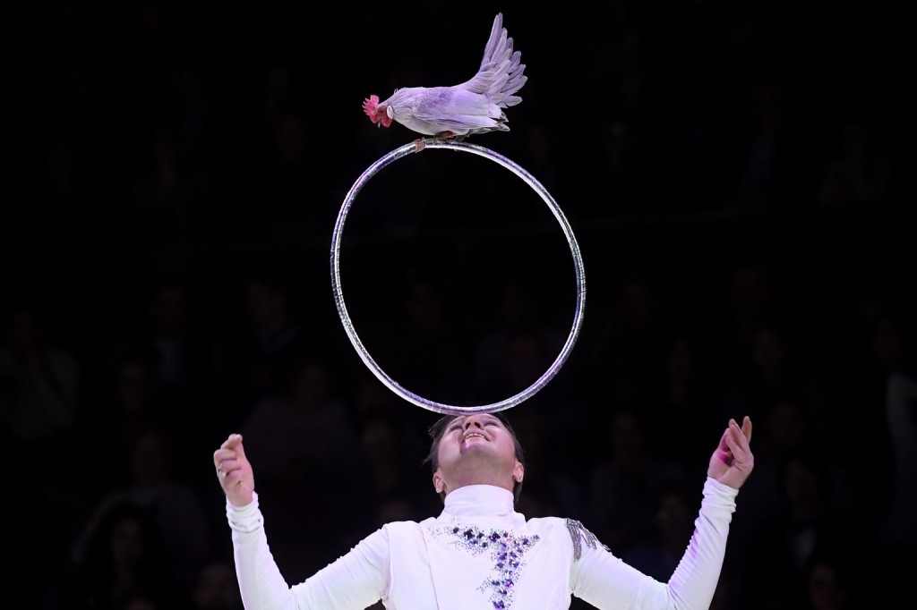 A mongol és a kínai csoport nyerte a Cirkuszfesztivál fődíját