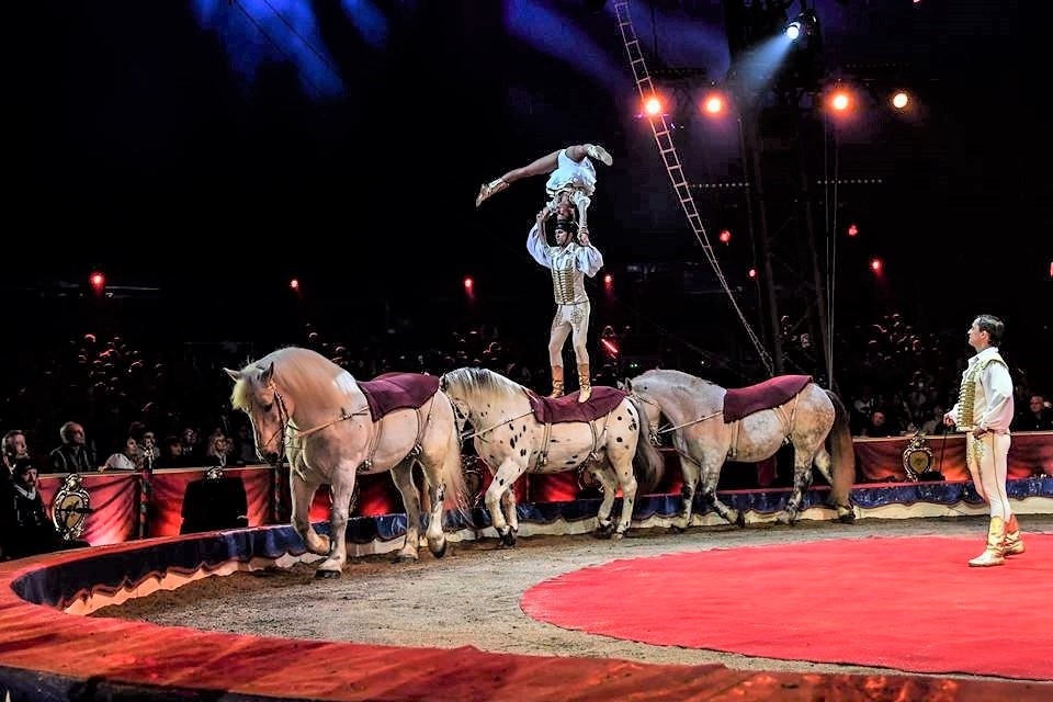 Arany Bohóc-díjat nyert ifj. Richter József artistacsapata