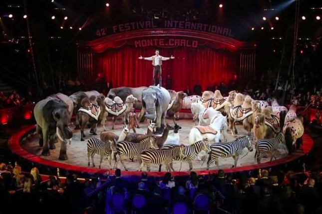 Az Oscar-díj után most már jöhet a baba a legelismertebb magyar cirkusziművésznél?