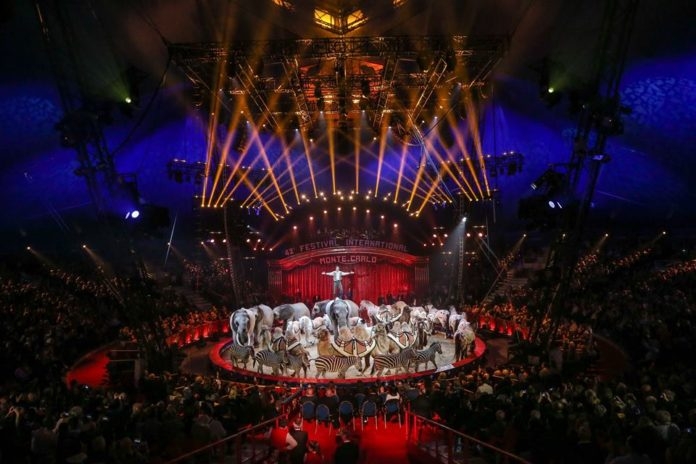 Most a csúcson vagyunk