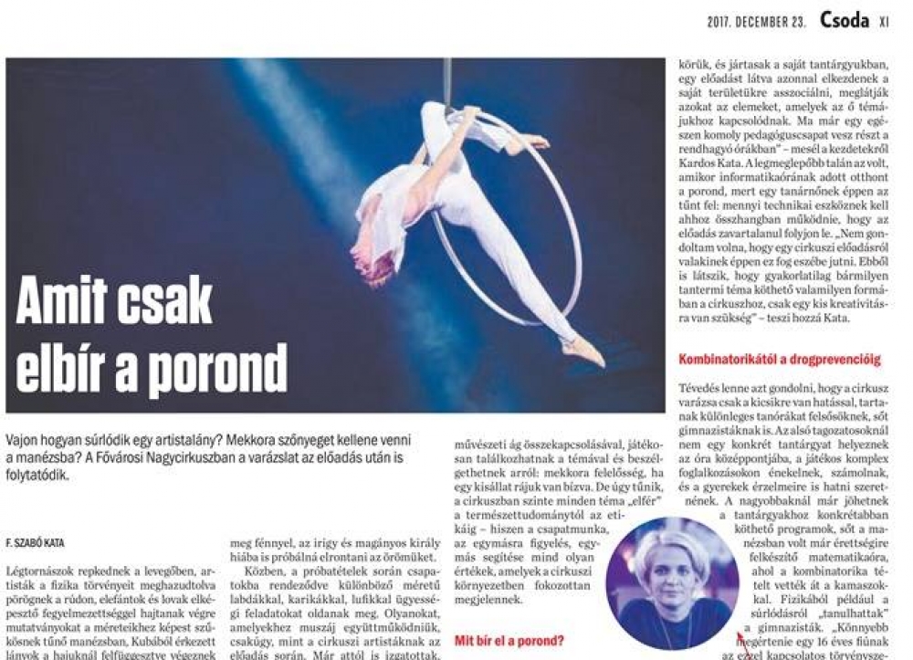 Amit csak elbír a porond