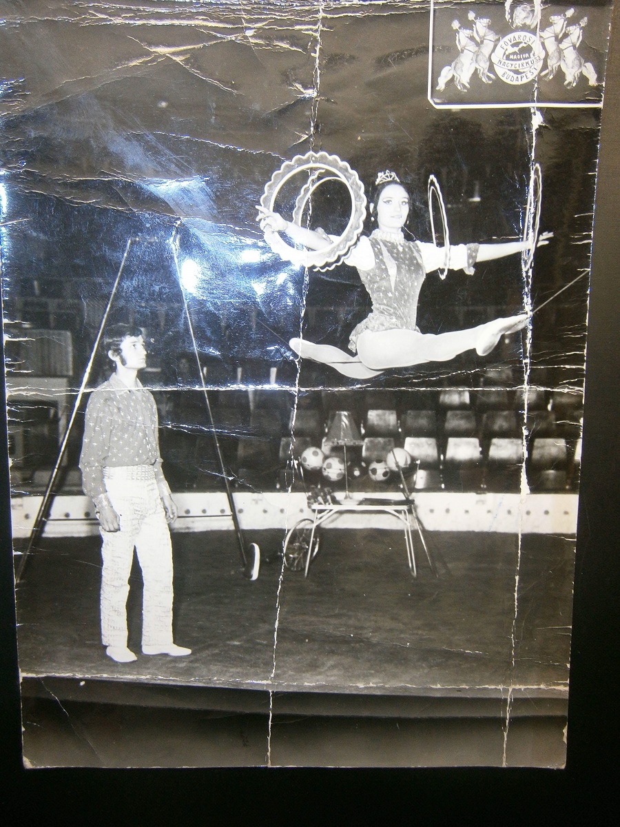 received_1337923119686397