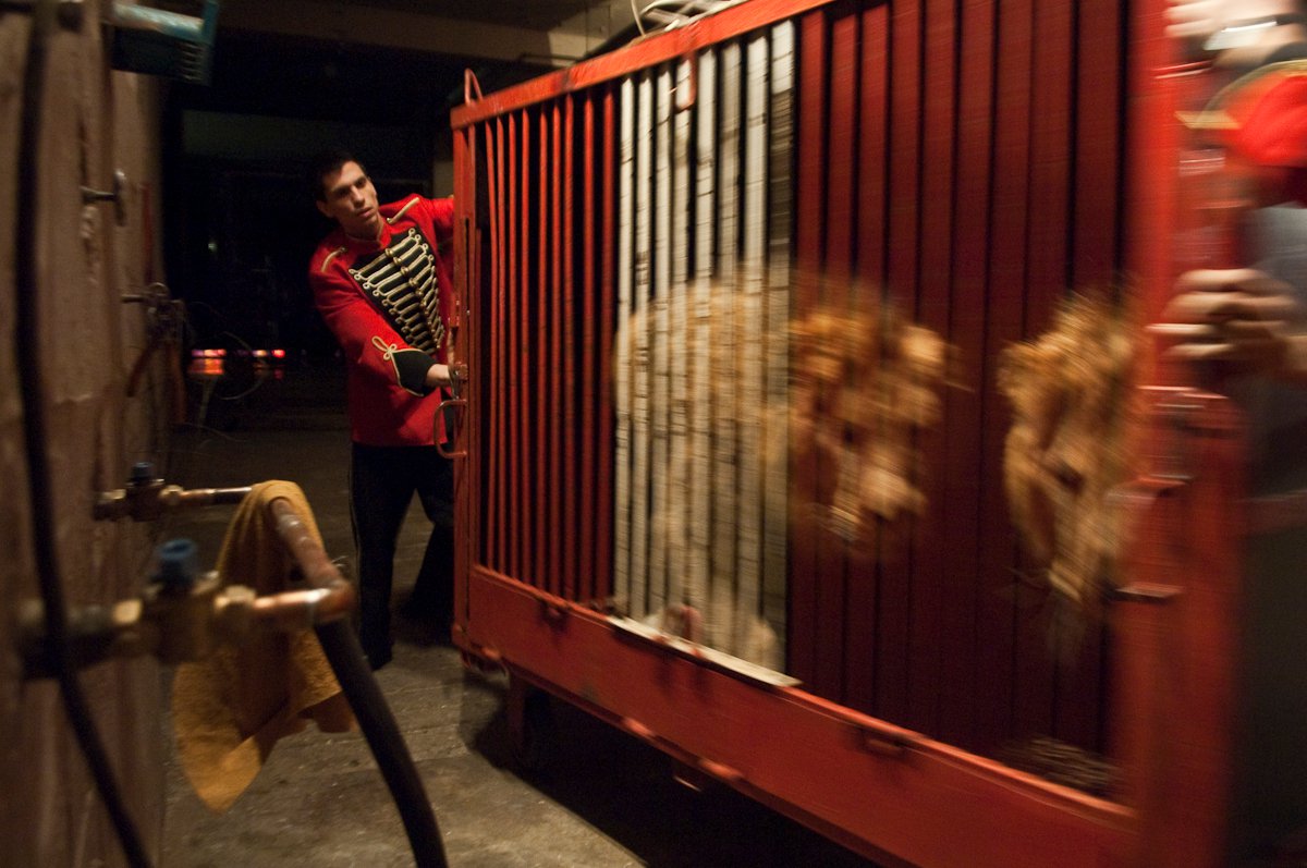 173009_101596943252597_815571_o