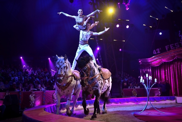 ifj. Richter József: Különbséget kell tenni cirkusz és cirkusz között