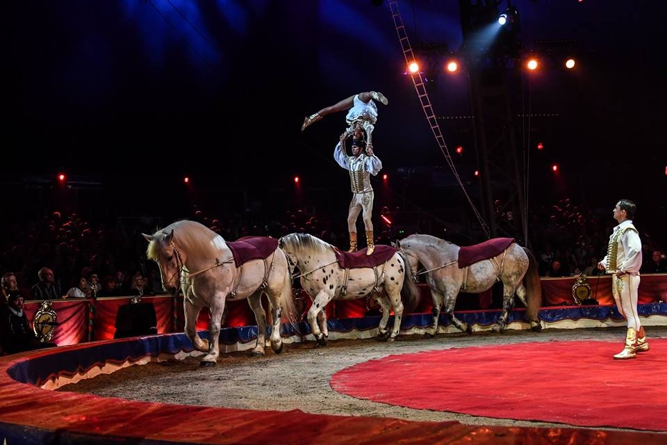 Díjnyertes cirkuszműsorával indul országjáró turnéra ifj. Richter József és csapata