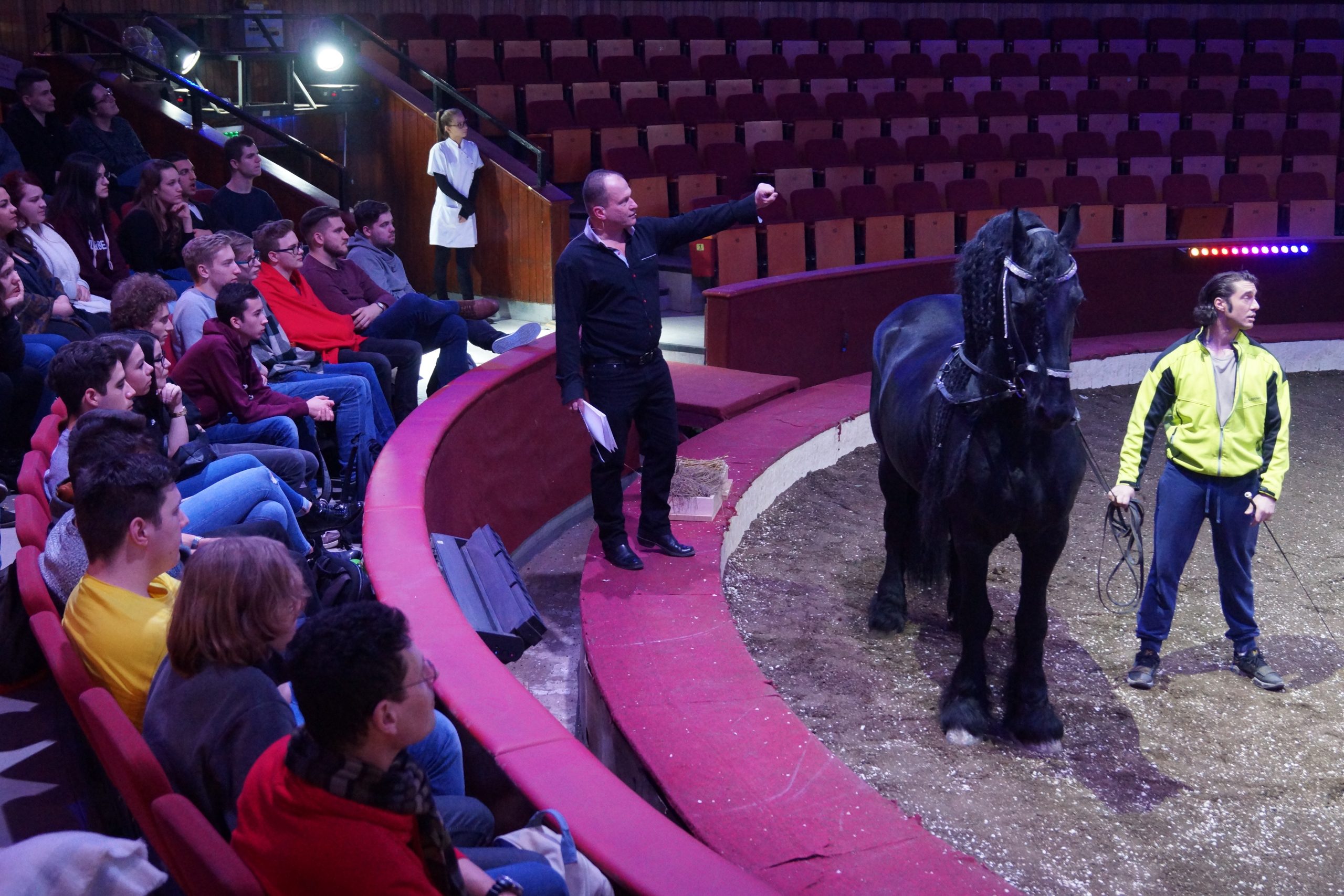 Lovasoktatás a Fővárosi Nagycirkusz rendhagyó óráján!