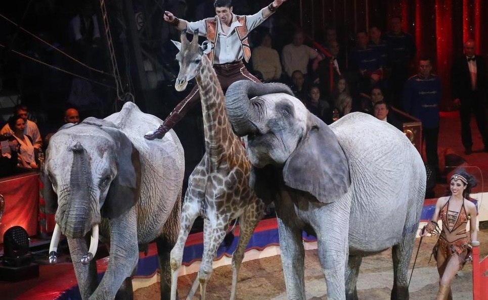 Ifj. Richter József: Van olyan trükk, amelyben egy élet munkája fekszik