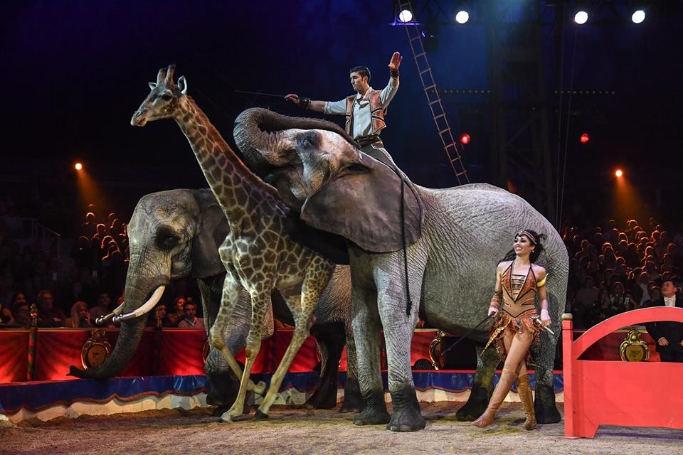 Interjú ifj. Richter Józseffel