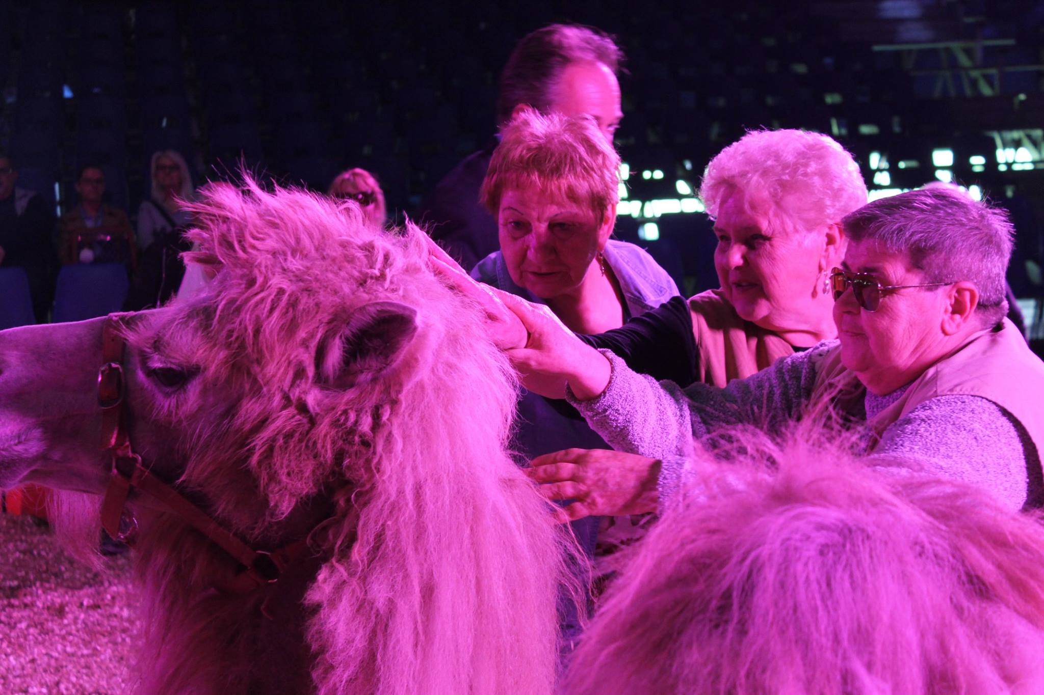 Úgy éreztem, visszaadta a látásomat