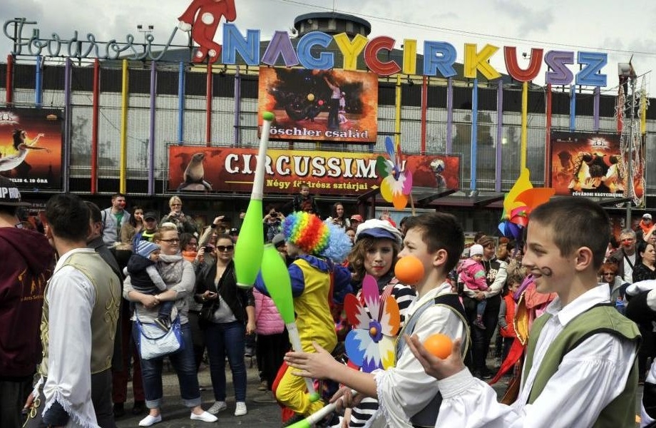 Irodalmi pályázatot hirdet a Fővárosi Nagycirkusz