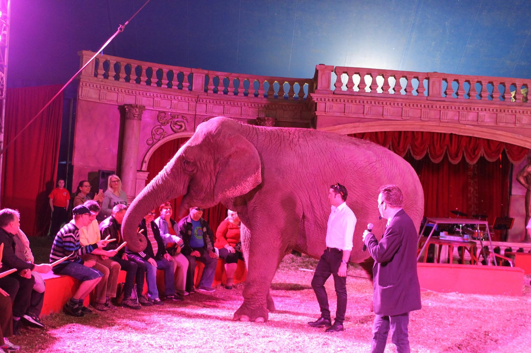 Vakoknak és gyengénlátóknak készített műsort a Fővárosi Nagycirkusz