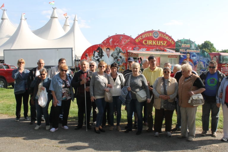 Amikor a vak „meglátul” – cirkuszi előadás narrációval