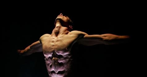 Mi ez a cirkusz? Premier előtt