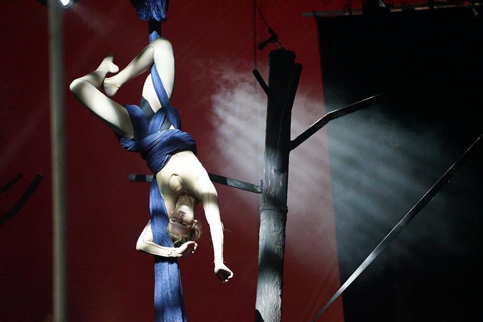 Rengeteg - Közönségsiker a Szigeten