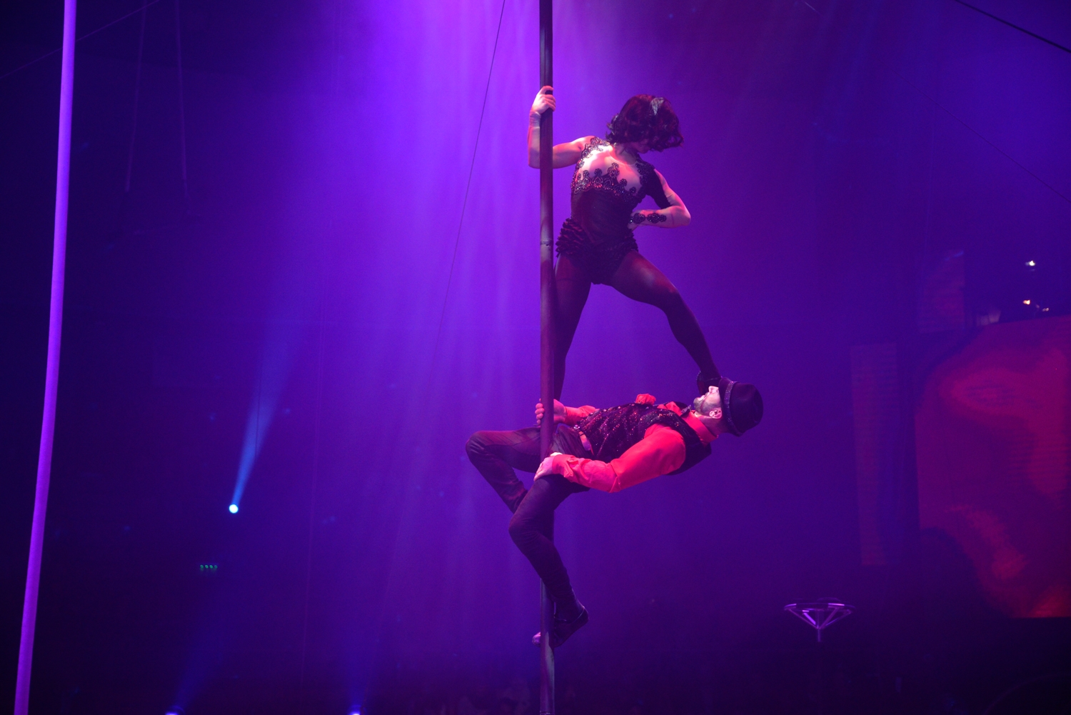 Marton Árpád: Örök varázs