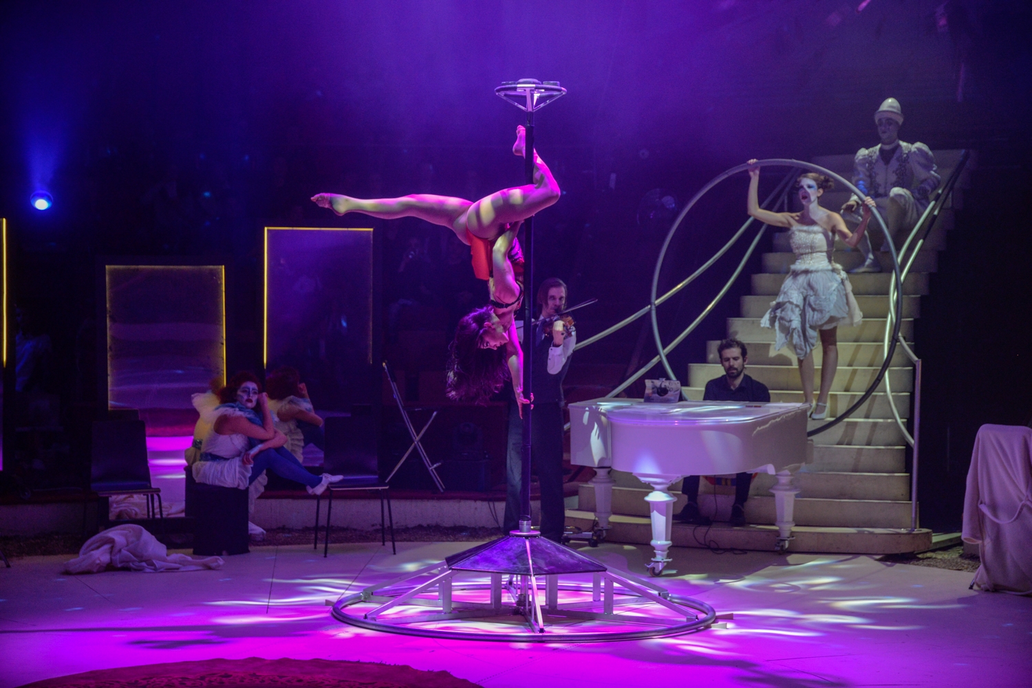 Balogh Dávid: Csoda a Cirkuszban