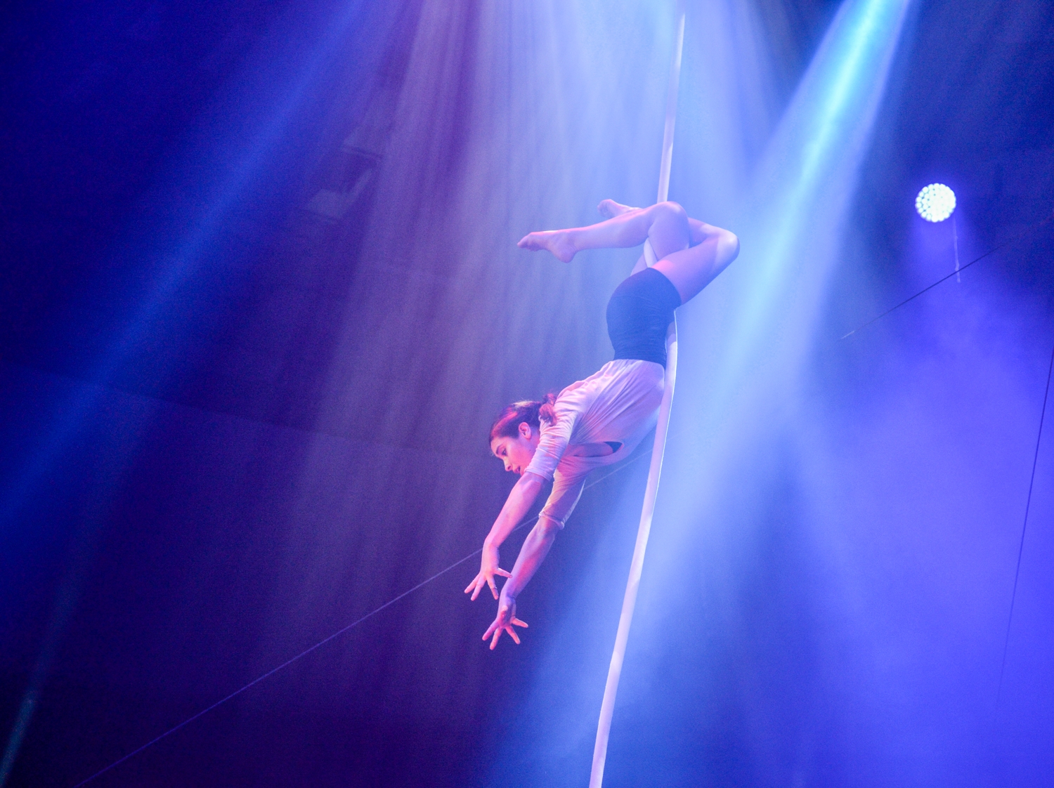 Izer Janka: Szárnyak