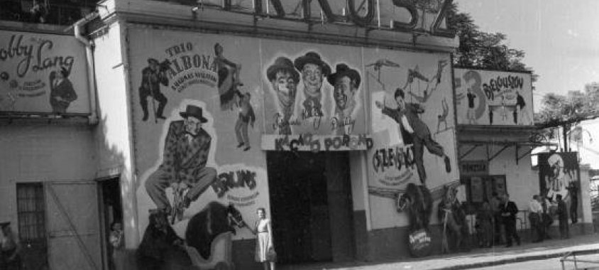 Az artisztika fellegvára - A Fővárosi Nagycirkusz története a kezdetektől napjainkig