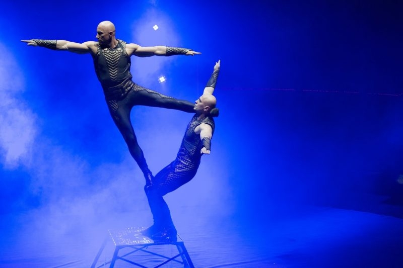 A Rippel fivérek a tanítványaikért is izgulnak