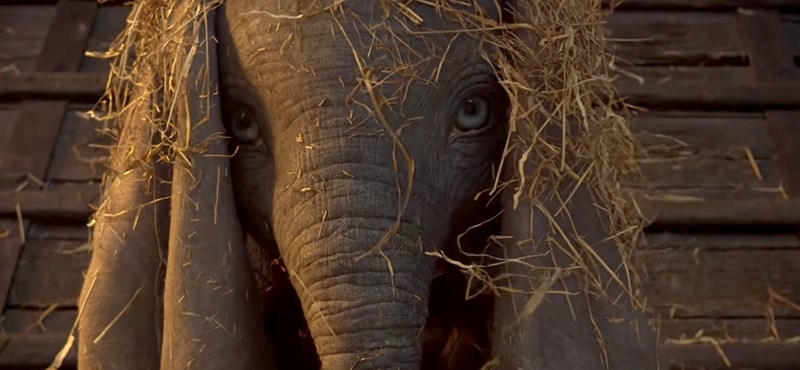 Magyar artista szerepel Tim Burton Dumbójában